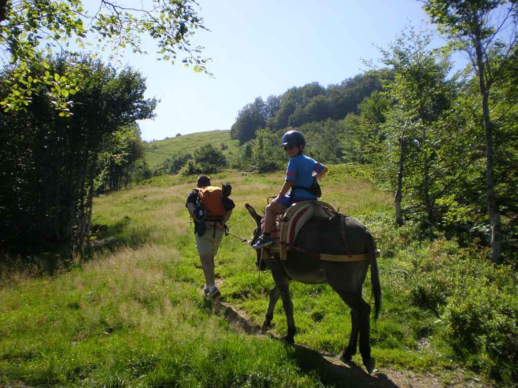 balade à cheval dans la vallée d'Ustou